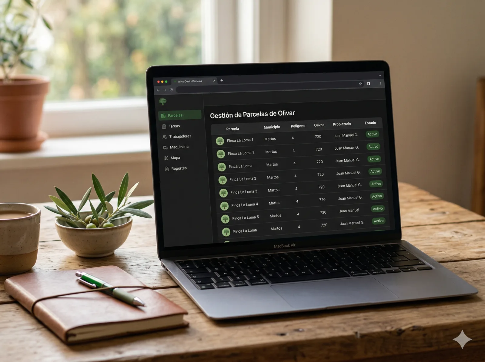 Listado de parcelas de un olivar con su ficha catastral en MiOlivar