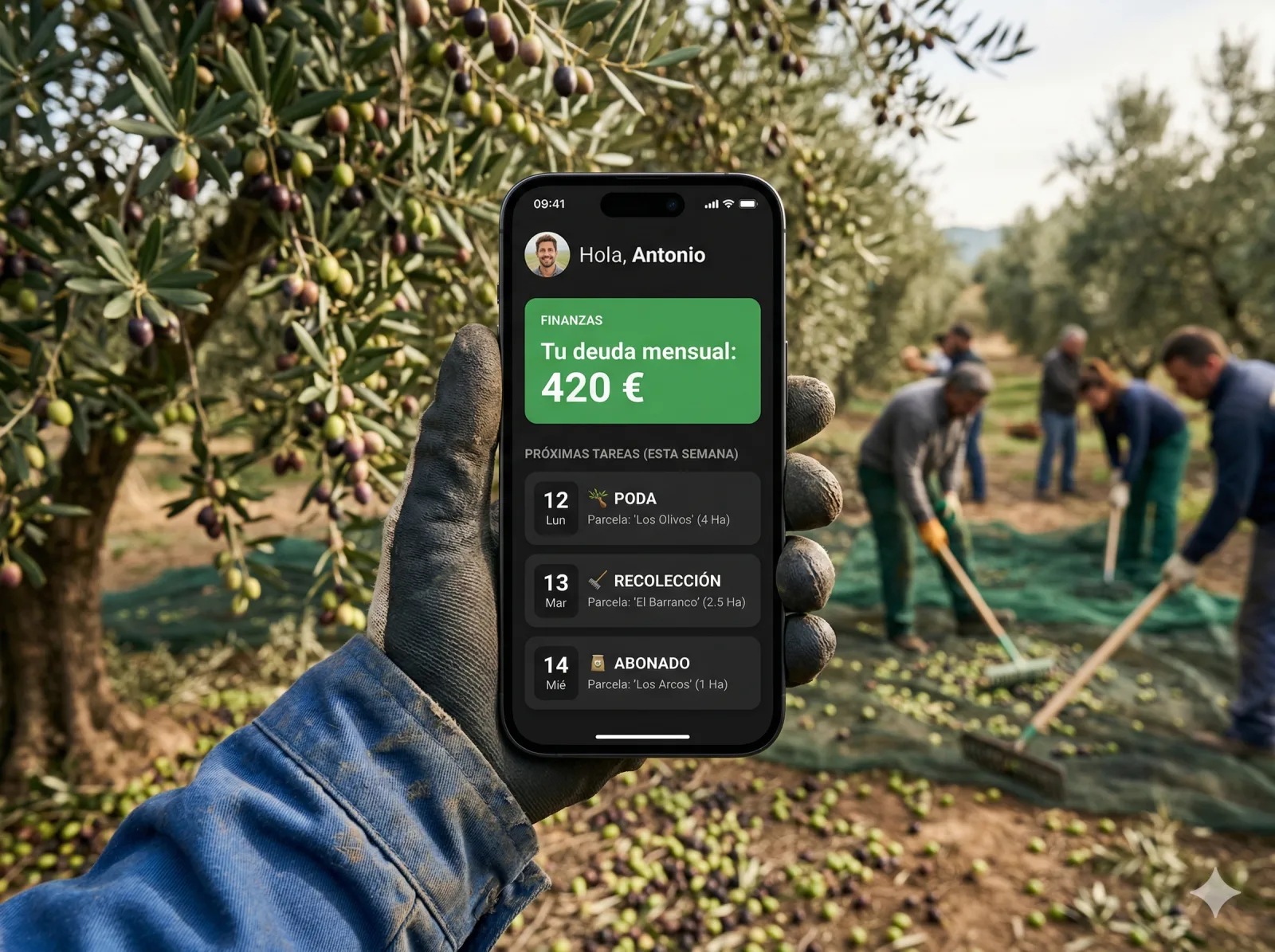 Panel del trabajador con sus tareas asignadas y deuda mensual en MiOlivar