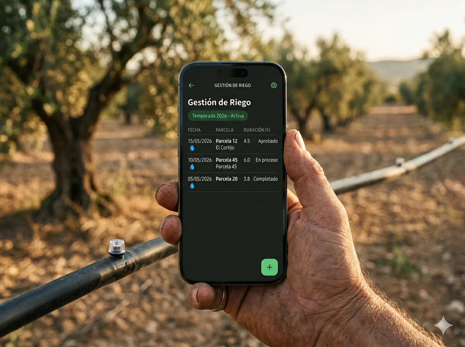Listado de riegos del olivar por parcela con fechas y duración en MiOlivar